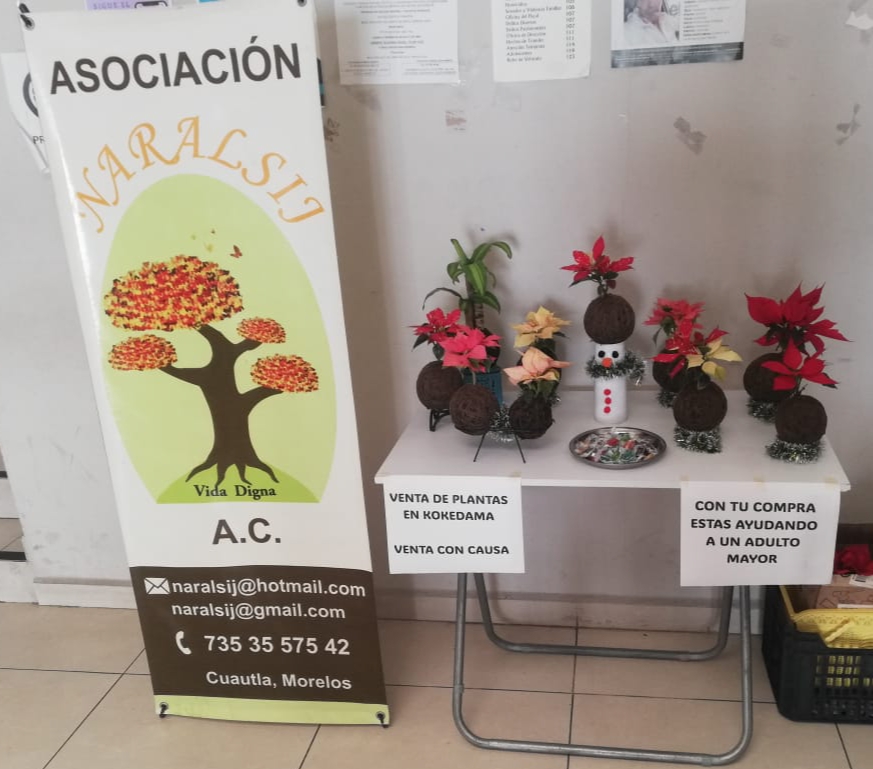 Exposiciones